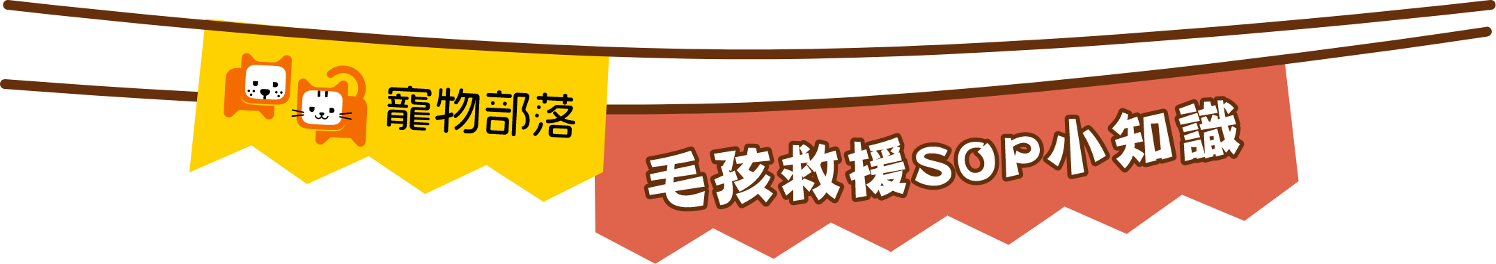 寵物知識標題