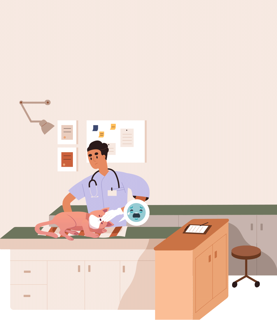 Background Animation